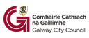 Galway City Council  avatar